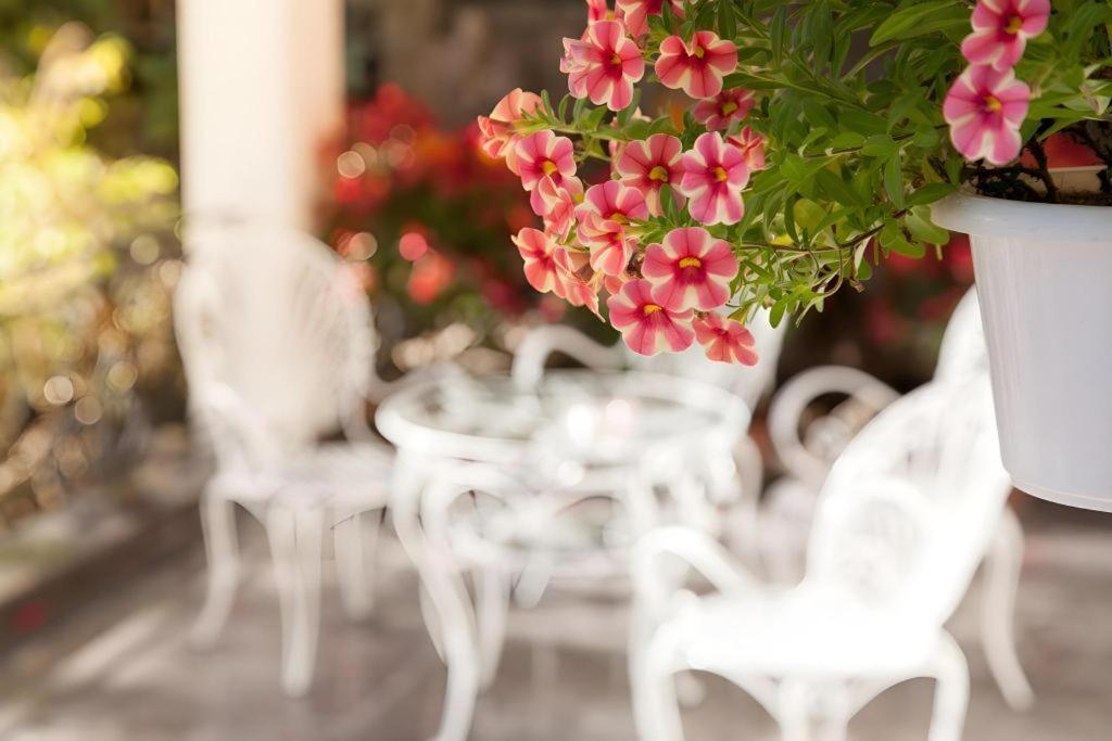 Hoa Sen Vang Hotel Dalat Kültér fotó
